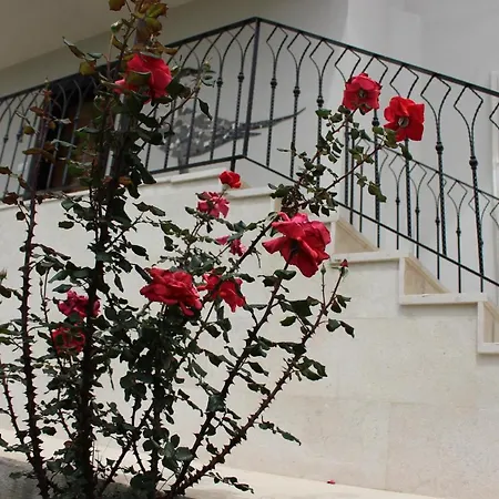 Ayaklı Villa Muğla