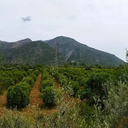 Ayakli Goel Evleri * Mugla