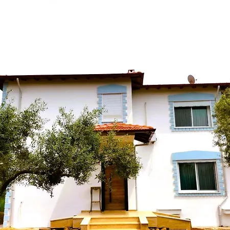 Ayaklı Villa Muğla
