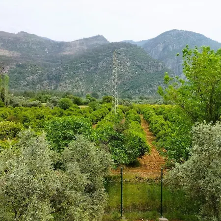 Villa Ayakli Goel Evleri Mugla